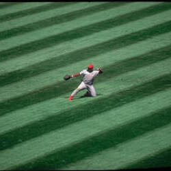 Color photograph of a pitcher getting ready to throw a ball on a green stripped baseball field.